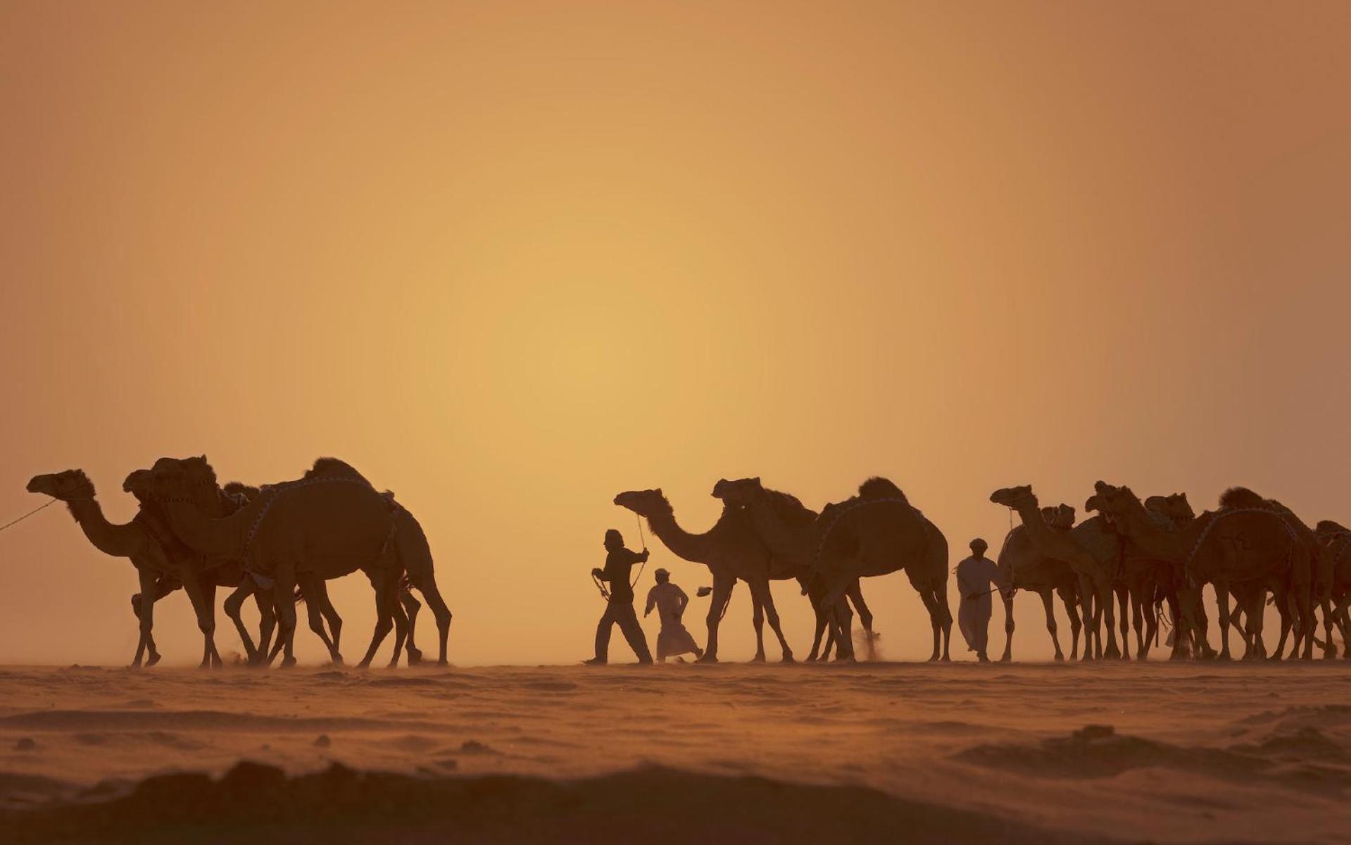 Anantara Qasr Al Sarab Desert Resort Jereirah Екстериор снимка